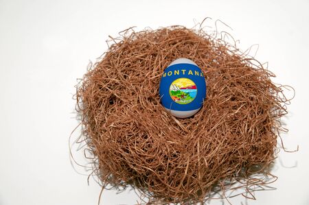 Nest egg with state of Montana flag painted on the eggの写真素材
