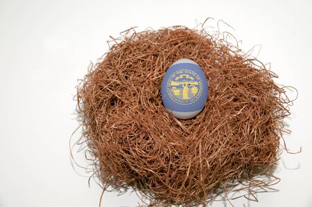 Nest egg with state of Nebraska flag painted on the eggの写真素材