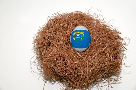 Nest egg with state of Nevada flag painted on the eggの写真素材