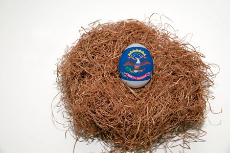 Nest egg with state of North Dakota flag painted on the eggの写真素材