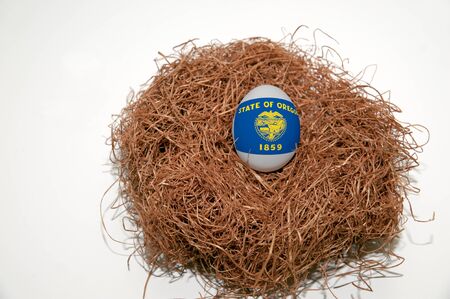 Nest egg with state of Oregon flag painted on the eggの写真素材