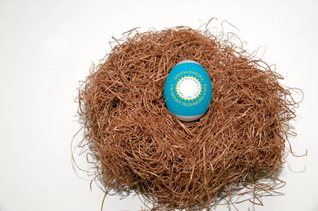 Nest egg with state of South Dakota flag painted on the eggの写真素材