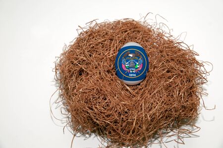 Nest egg with state of Utah flag painted on the eggの写真素材