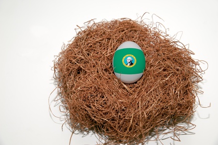 Nest egg with state of Washington flag painted on the eggの写真素材