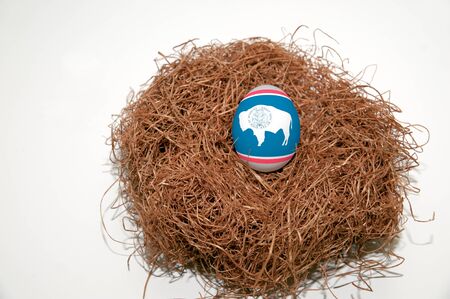 Nest egg with state of Wyoming flag painted on the eggの写真素材