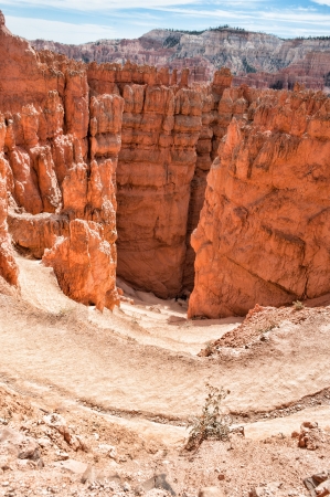 Unique rock formations in Bryce Canyon located in Utah, United States.の写真素材