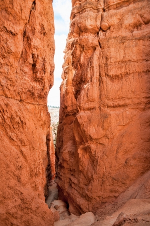Unique rock formations in Bryce Canyon located in Utah, United States.の写真素材