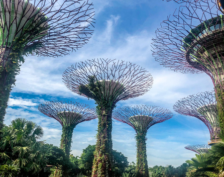 supertree, singapore, building