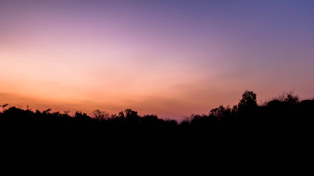 Twilight sky in the morning, a forest foreground. Sky, purple, gold Golden Moment of the Dayの写真素材
