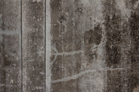 Old  plaster on the wall. Grunge concrete texture. Grunge stucco background. Retro texture. Vintage texture. Distress Texture.の写真素材