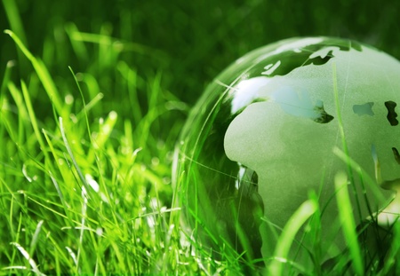Green glass globe in the grassの写真素材