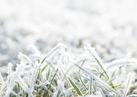 Frosty Background With Copy Spaceの写真素材