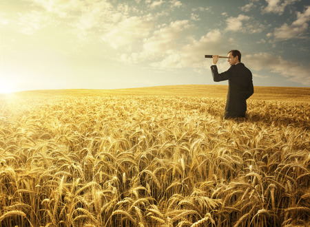 Young businessman in the wheat field searching for the new opportunitesの写真素材