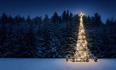 Illuminated Christmas tree in the snow at night with copy spaceの写真素材