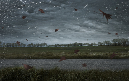 Empty autumn stormy background with copy spaceの写真素材