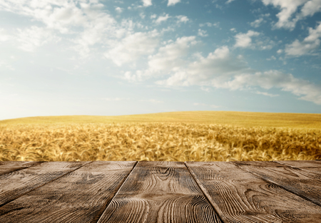 Close up of old empty wooden table over wheat field with copy spaceの写真素材