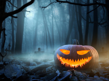 Halloween background, close up of Jack o Lantern pumpkin in the spooky forest at night with copy spaceの写真素材