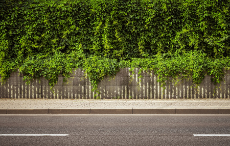 Empty city road background with copy spcaeの写真素材