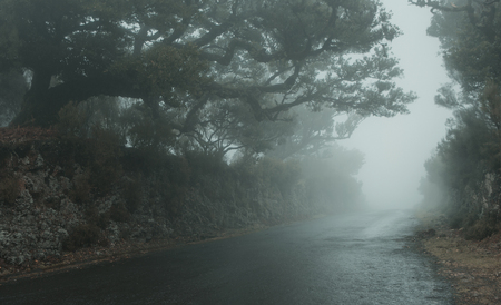 Empty foggy road on Madeira islandの写真素材