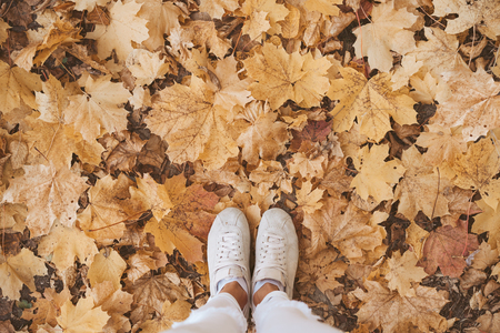 High anle view of female feet in the autumn leaves with copy spaceの写真素材