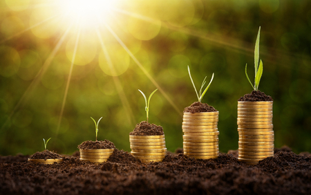 Investment concept, coins chart with growing plants over defocused nature backgroundの写真素材