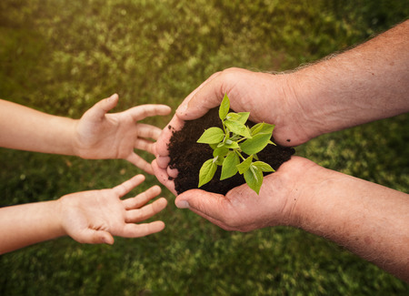 Close up of senior hands giving small plant to a child over defocused green background with copy spaceの写真素材