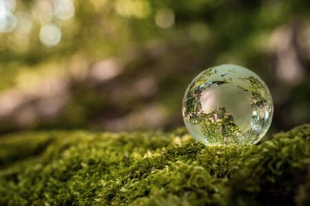 Environment conservation concept. Close up of glass globe in the forest with copy spaceの写真素材