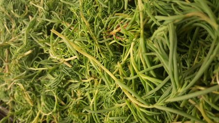 mexican holidays food romeritos closeup