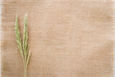 Grass on sackcloth used as wallpaper.の写真素材