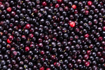 The surface of fresh blueberries Thailand.の写真素材