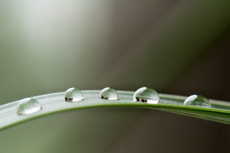 macro rain dropの写真素材