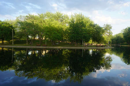 Montreal, QC / Canada - 7/3/2020: reflections of trees on lake water, La Fontaine Park.のeditorial素材