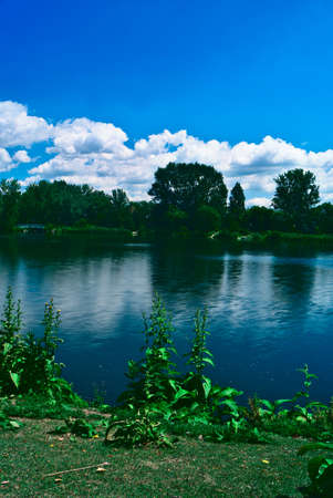 A vertical view of a long exposure of an island in a river with a smooth waterfront with a background of blue sky with clouds in a summer sunny day. reflections of the trees on the riverの写真素材