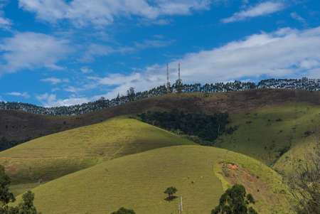 Landscape with trees grass and blue sky.