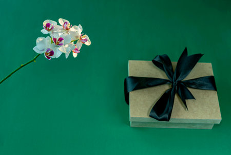 White flower and Gift box on the green background. Greeting for Women or Mothers Day.の写真素材