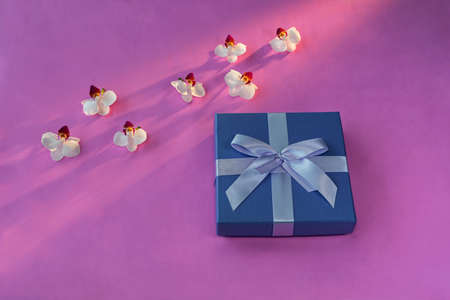 Valentine's day, flower and gift. Pink background.