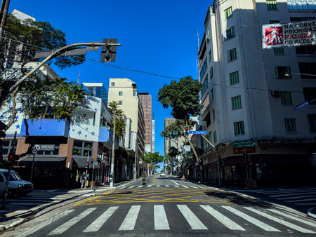 Avenues of big cities. The City of Sao Paulo, Cerqueira Cesar district, Augusta Street.のeditorial素材