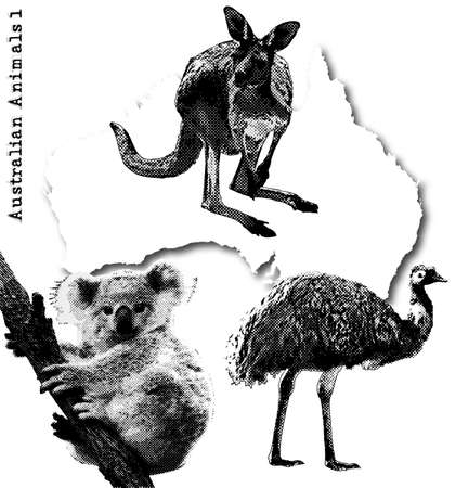 australian animalsのイラスト素材
