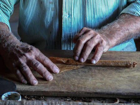 Tobacco manufacturingの写真素材