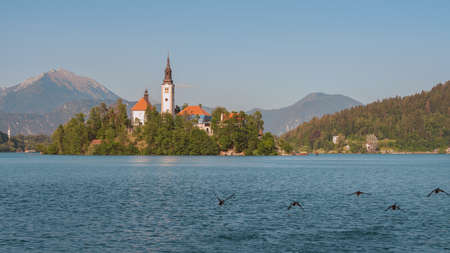 Church of St. Mary Magdalene in Bled.