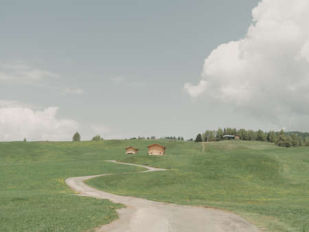Country road on a green meadow in Bavaria, Germany.の写真素材