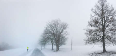 Nature in winter with snowの素材