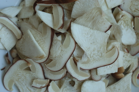 freshly picked boletus mushrooms on white backgroundの写真素材
