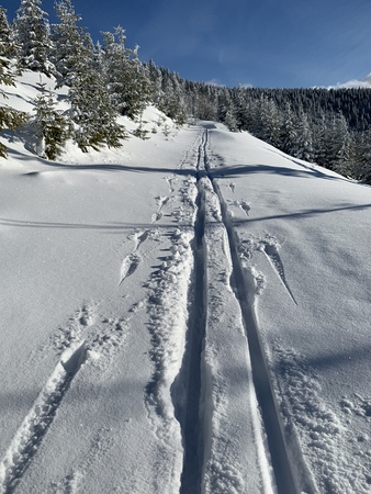 wintry landscape scenery with cross country skiing way in the forestの写真素材