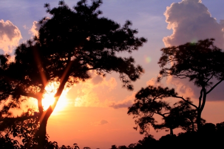 phu rua in thailandの写真素材