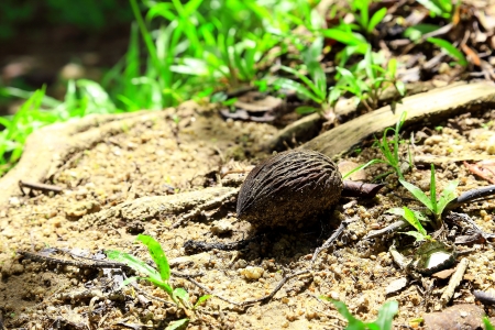 Grainの写真素材