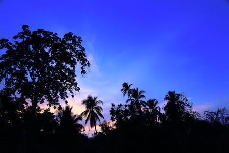 Twilight skyの写真素材