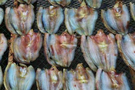 dried fishの写真素材