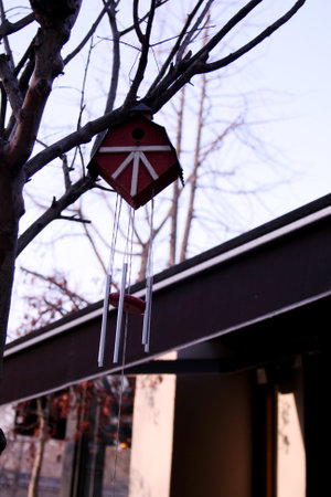 Red birdhouse hanging on a tree branch, closeup of photo