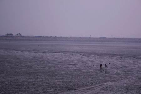people on the mudflatの写真素材